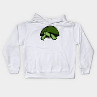 Sad Little Turtle Kids Hoodie